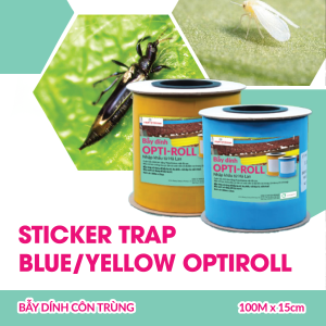 bay-xanh-optiroll-100mx15cm