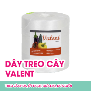 day-treo-cay-valent-1500-treo-ca-chua-ot-ngot-dua-leo-dua-luoi