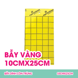 bay-vang-10cmx25cm
