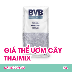 gia-the-uom-cay-thaimix-70l