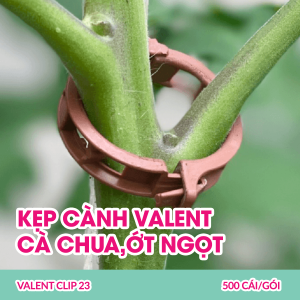 kep-day-treo-easy-clip-23-mm-kep-canh-ot-ca-chua-ot-ngot