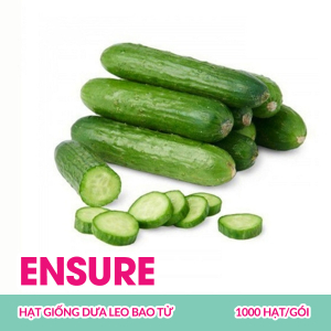 hat-giong-dua-leo-bao-tu-ensure-1000-hatgoi