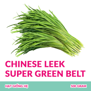 hat-giong-he-chinese-leek-super-green-belt-f1-500-gram