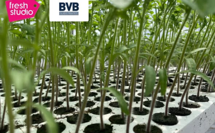 gia-the-uom-bvb-seedlingmix-giup-tiet-kiem-cong-uom-tai-da-lat