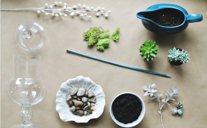 top-5-vat-tu-trong-rau-trong-nha-kinh-khong-the-thieu